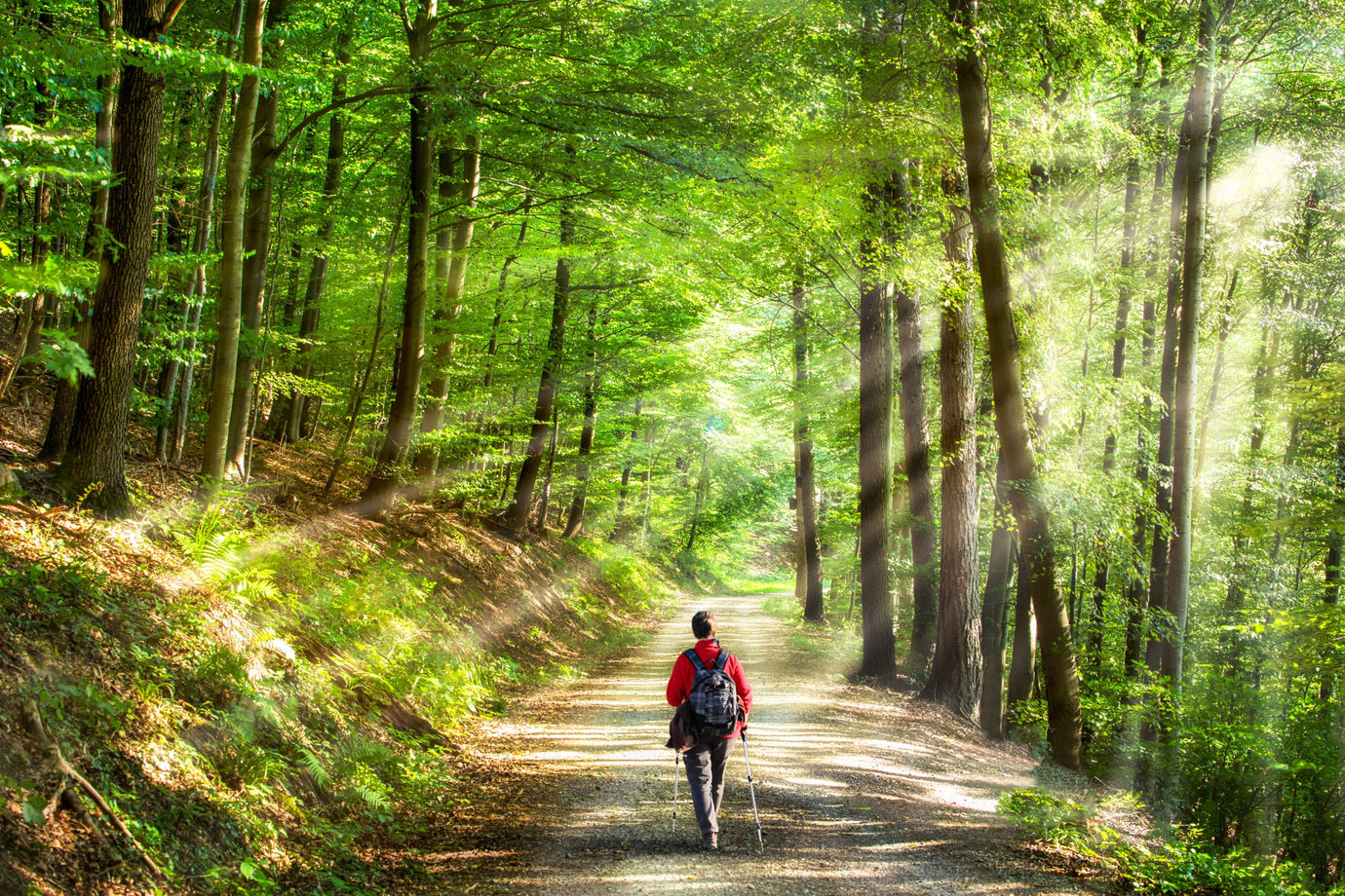 Nature Therapy: The Mental Health Benefits of Spending Time Outdoors